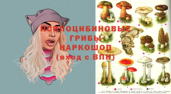 а пвп мука Осинники