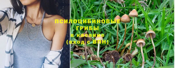 spice Алексеевка