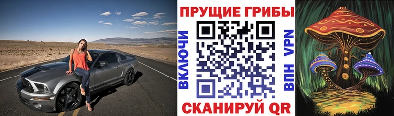 блэк спрут Туран Псилоцибиновые грибы GOLDEN TEACHER